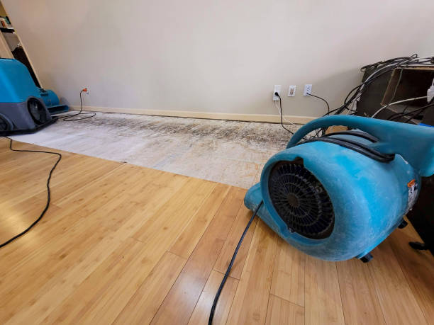 Professional Structural Drying technician working in Eldridge, CA